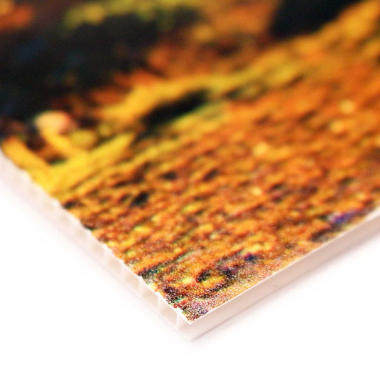 Correx Board