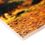 Correx Board